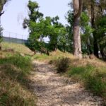 The Noble Lesson: Why True Community Initiative Starts on Your Pavement
